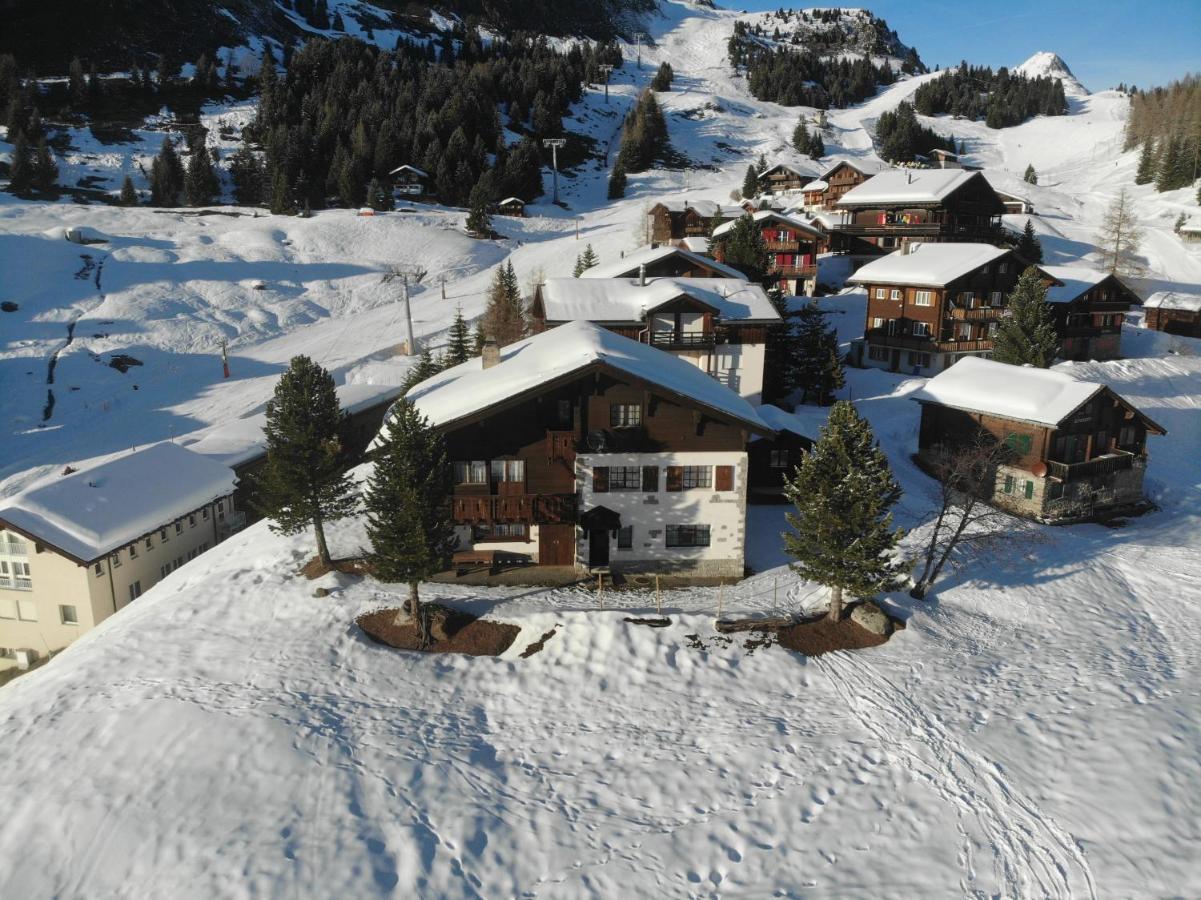 Schoenegg Studio Riederalp Eksteriør bilde