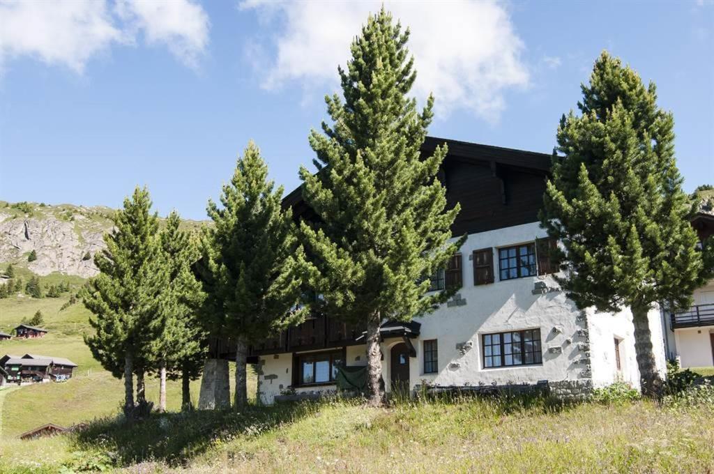 Schoenegg Studio Riederalp Eksteriør bilde