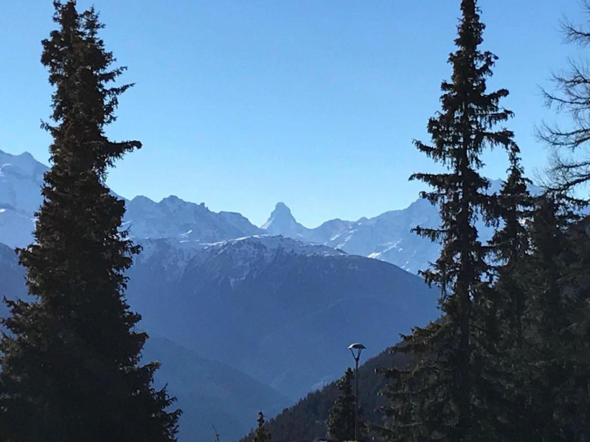 Schoenegg Studio Riederalp Eksteriør bilde